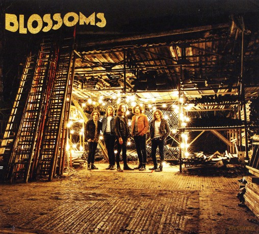Blossoms: Blossoms [CD]