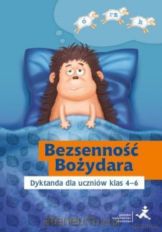 Bezsenność Bożydara. Dyktanda dla uczniów 4-6 - Katarzyna Skurkiewicz [KSIĄŻKA]