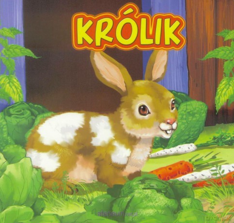 Królik - Urszula Marcinek [KSIĄŻKA]