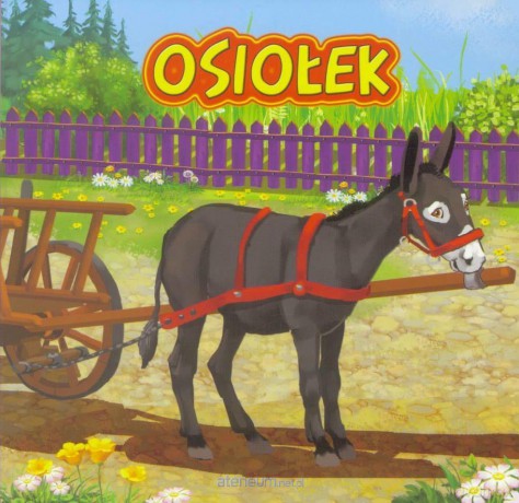 Osiołek - Katarzyna Campbell [KSIĄŻKA]