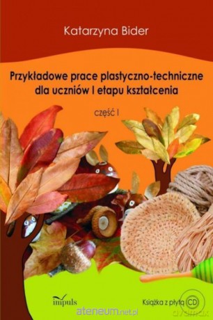 Przykładowe prace plastyczno-techniczne - Katarzyna Bider [KSIĄŻKA]
