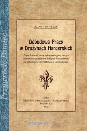 Przywrócić Pamięć. Odbudowa pracy w drużynach - Alojzy Pawełek [KSIĄŻKA]