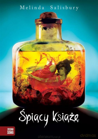 Śpiący Książę - Melinda Salisbury [KSIĄŻKA]