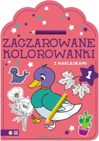 Zaczarowane kolorowanki cz. 1 [KSIĄŻKA]
