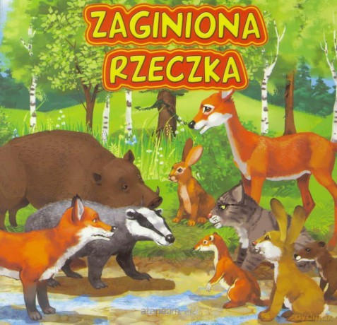 Zaginiona rzeczka - Katarzyna Campbell [KSIĄŻKA]