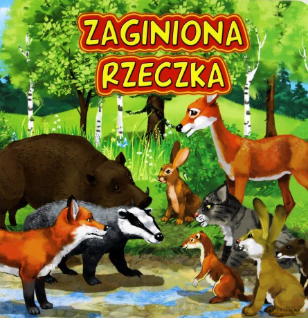 Zaginiona rzeczka - Katarzyna Campbell [KSIĄŻKA]