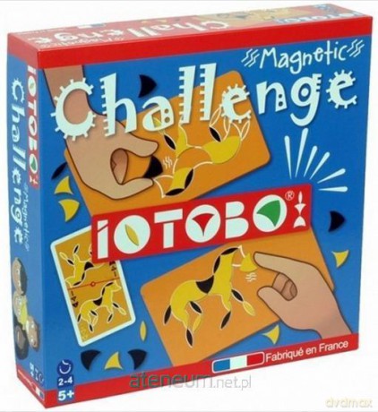 Zestaw familijiny - magnetyczna mozaika Challenge [GRA]