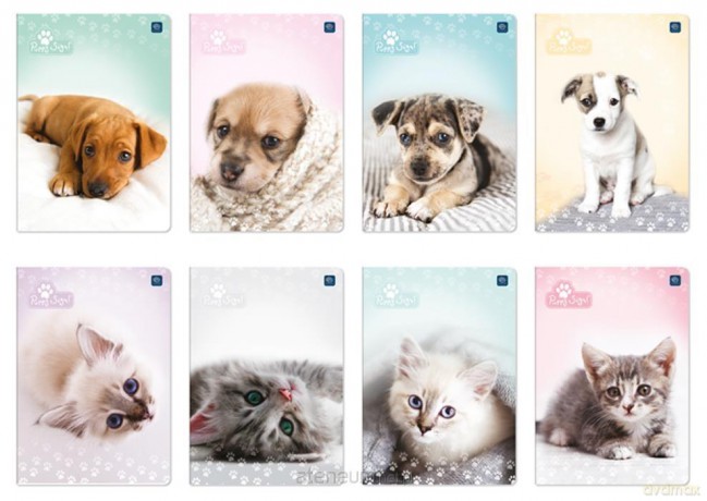 Zeszyt A5/32K kolorowa linia Puppy Sign mix(10 szt)