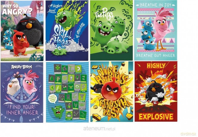Zeszyt do słówek A6/16K kratka Angry Birds (10 szt)