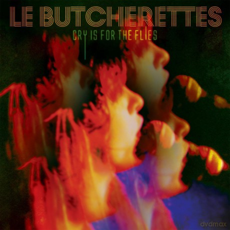 Le Butcherettes: Cry Is For The Flies [Winyl]