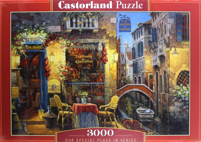 CASTOR 3000 el. Wyjątkowe miejsce [PUZZLE]