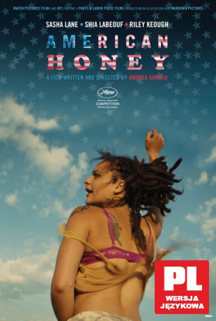 American Honey [DVD]
