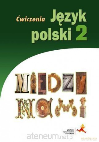 Język polski gimnazjum 2 Między Nami ćwiczenie wersja B [KSIĄŻKA]