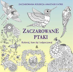 Koloruj, baw się i odpoczywaj. Zaczarowane ptaki - Anastasia Catris [KSIĄŻKA]