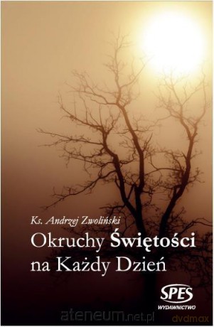 Okruchy Świętości na każdy dzień - Ks. Andrzej Zwoliński [KSIĄŻKA]