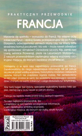 Praktyczny przewodnik - Francja [KSIĄŻKA]
