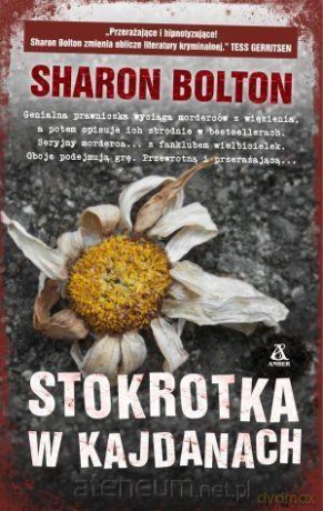 Stokrotka w kajdanach - Sharon Bolton [KSIĄŻKA]