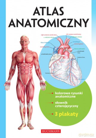 Atlas anatomiczny [KSIĄŻKA]