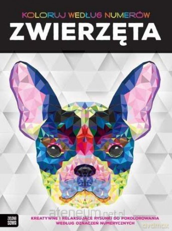 Koloruj według numerów. Zwierzęta - Gilbert Elizabeth [KSIĄŻKA]