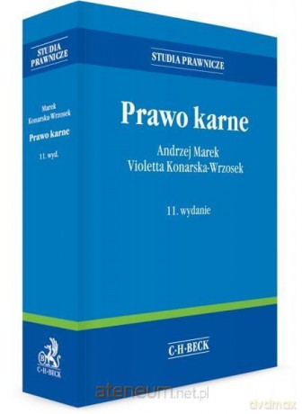 Prawo karne wyd. 11 Studia prawnicze [KSIĄŻKA]
