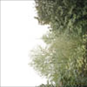 Growing: The Soul Of The Rainbow And Haromony Of Light (ecopack) [CD]