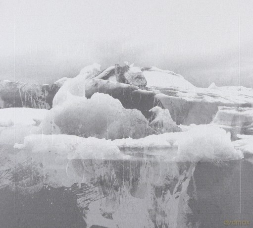 If These Trees Could Talk: The Bones Of A Dying World [CD]