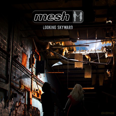 Mesh: Looking Skyward [CD]