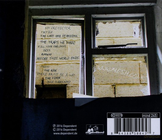Mesh: Looking Skyward [CD]
