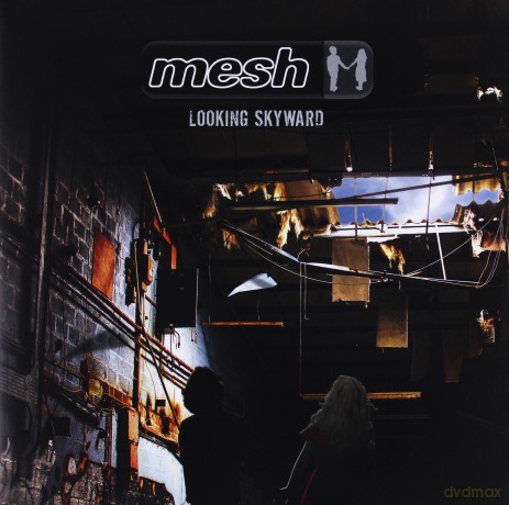 Mesh: Looking Skyward [2xWinyl]