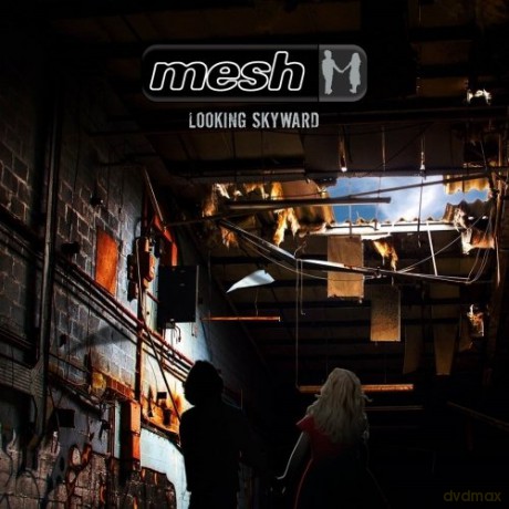 Mesh: Looking Skyward [2CD]