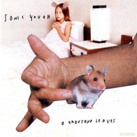 Sonic Youth: A Thousand Leaves [2xWinyl]