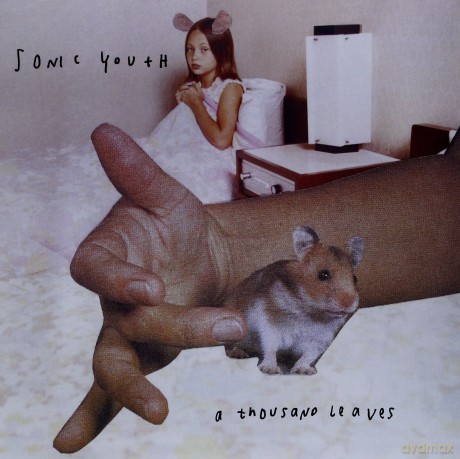 Sonic Youth: A Thousand Leaves [2xWinyl]