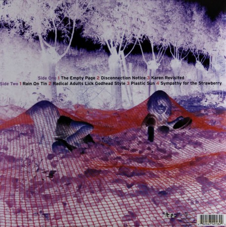 Sonic Youth: Murray Street [Winyl]