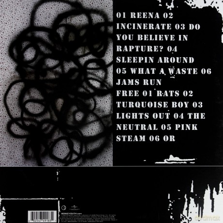 Sonic Youth: Rather Ripped [Winyl]