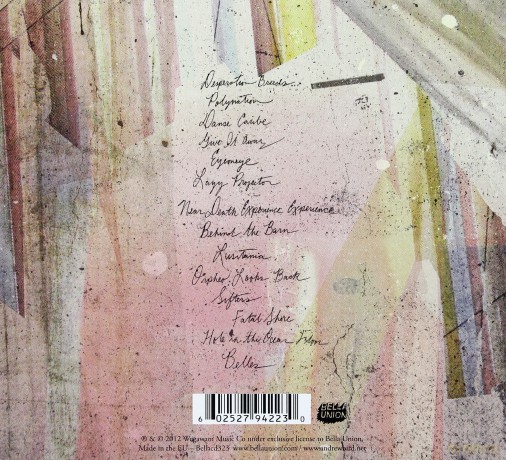 Andrew Bird: Break It Yourself [CD]