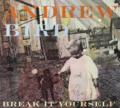 Andrew Bird: Break It Yourself [CD]