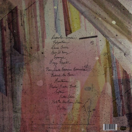 Andrew Bird: Break It Yourself [2xWinyl]+[CD]