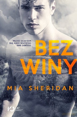 Bez winy - Mia Sheridan [KSIĄŻKA]