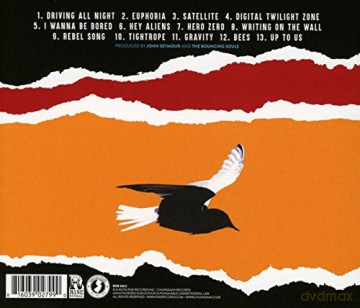 The Bouncing Souls: Simplicity [CD]