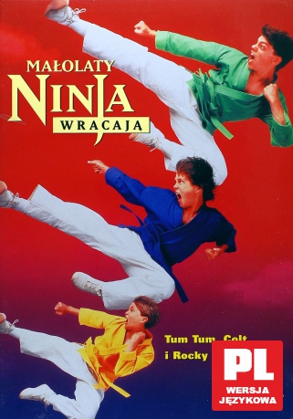 Małolaty Ninja wracają [DVD]