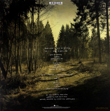 Steven Wilson: Grace For Drowning [2xWinyl]