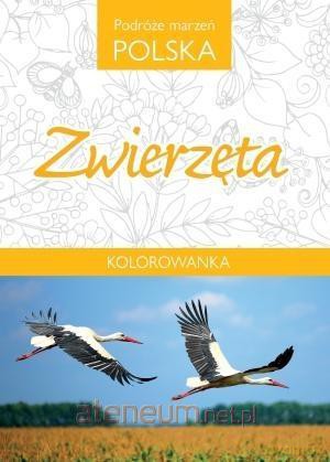 Kolorowanka. Podróże marzeń Polska. Zwierzęta [KSIĄŻKA]