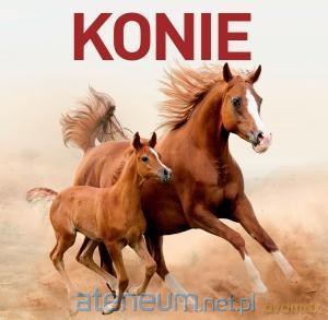 Konie - Jon Stroud [KSIĄŻKA]