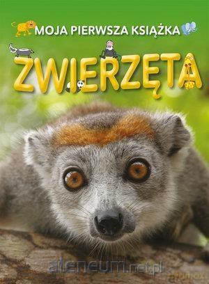 Moja pierwsza książka: Zwierzęta - Dee Phillips [KSIĄŻKA]