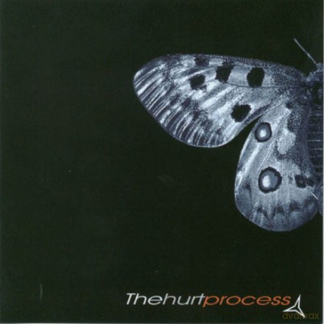 The Hurt Process: Last Goodbye [CD]