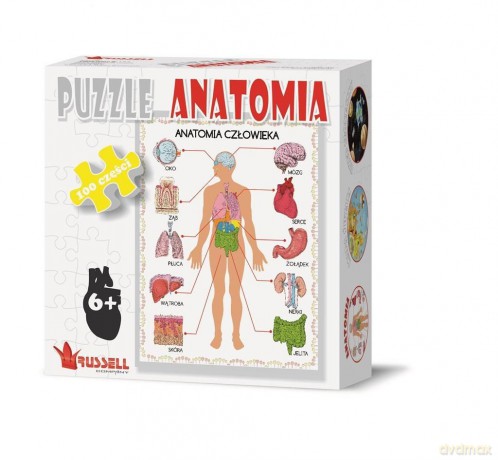 RUSSEL 100 el. Anatomia [PUZZLE]