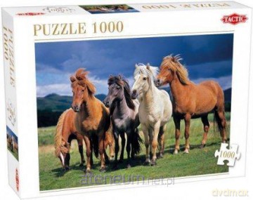 TACTIC 1000 el.Camargue horses [PUZZLE]