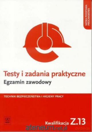 Testy i zadania praktyczne Technik BHP kwalifikacja Z.13 - Grażyna Ozarowska, Tomasz Sadowski [KSIĄŻKA]