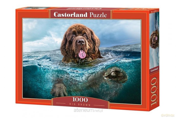 CASTOR 1000 el. Wielki brąz [PUZZLE]