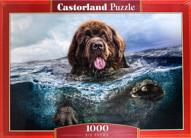 CASTOR 1000 el. Wielki brąz [PUZZLE]